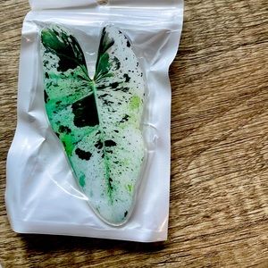 Plant leaf phone socket